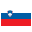 Slovenia Flag